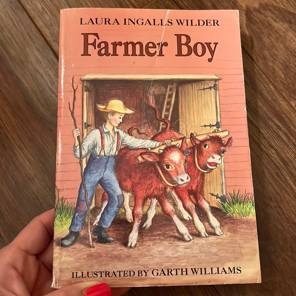 Farmer Boy book